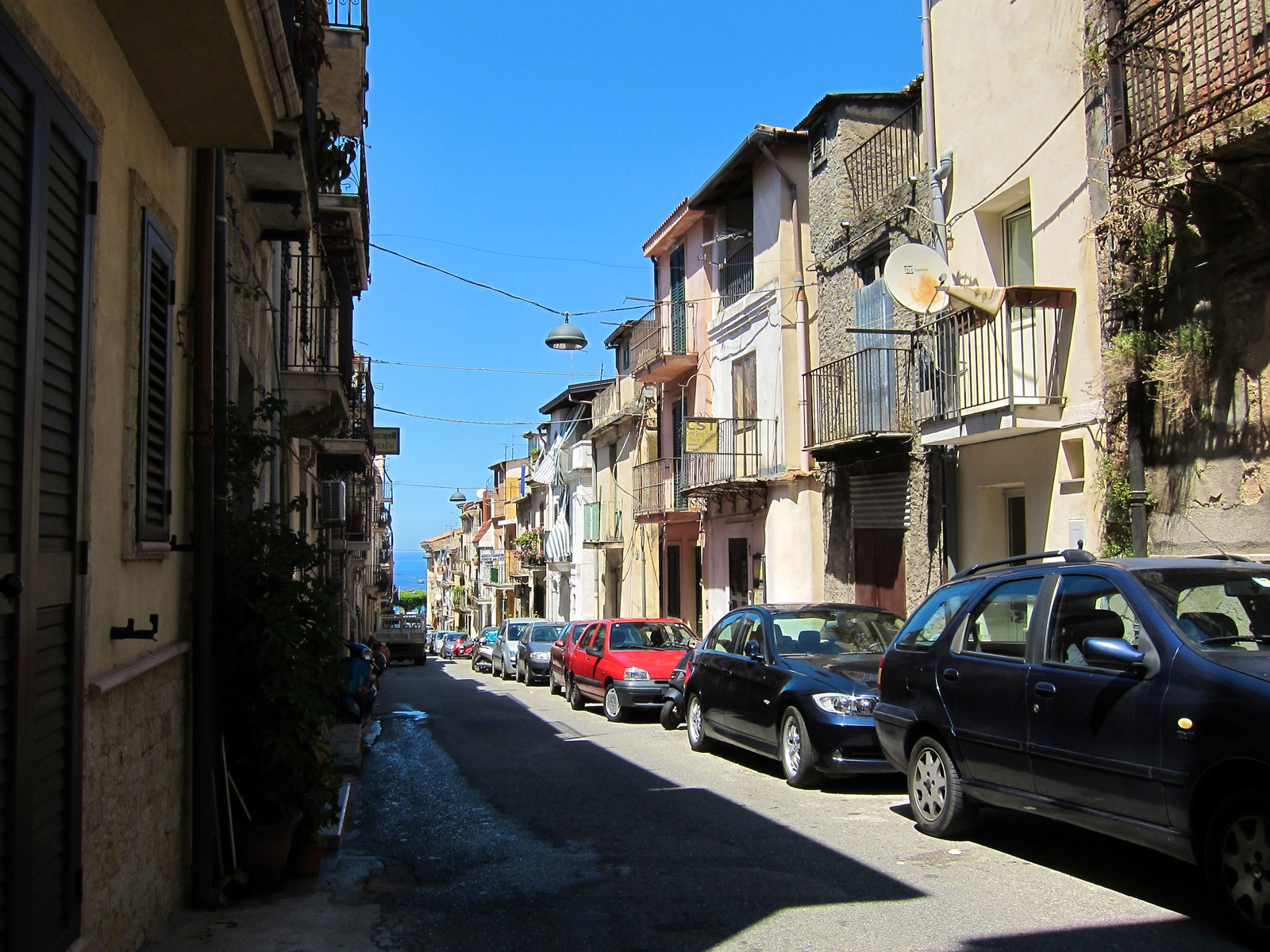 Scilla